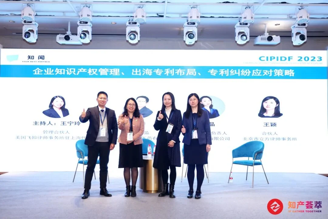 CIPIDF 2023 小组讨论现场