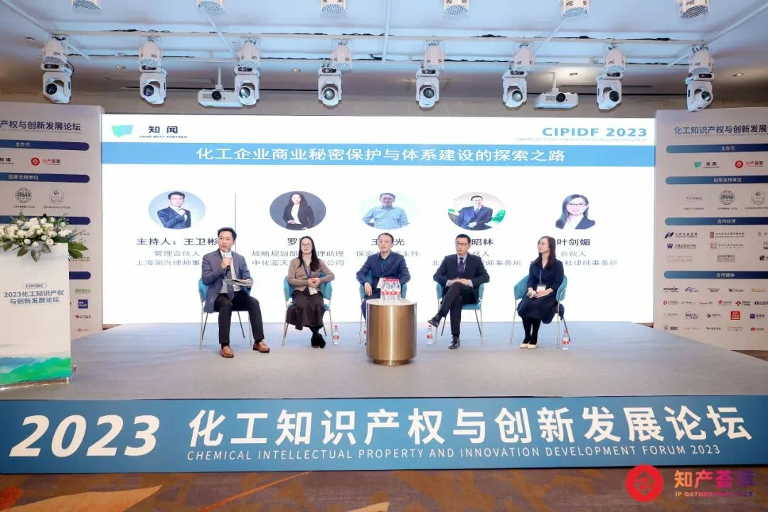 CIPIDF 2023 圆桌对话