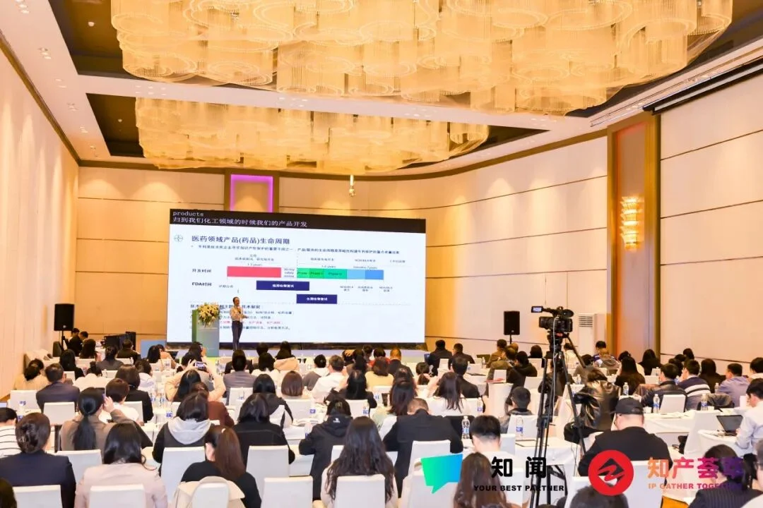 CIPIDF 2025 主会场