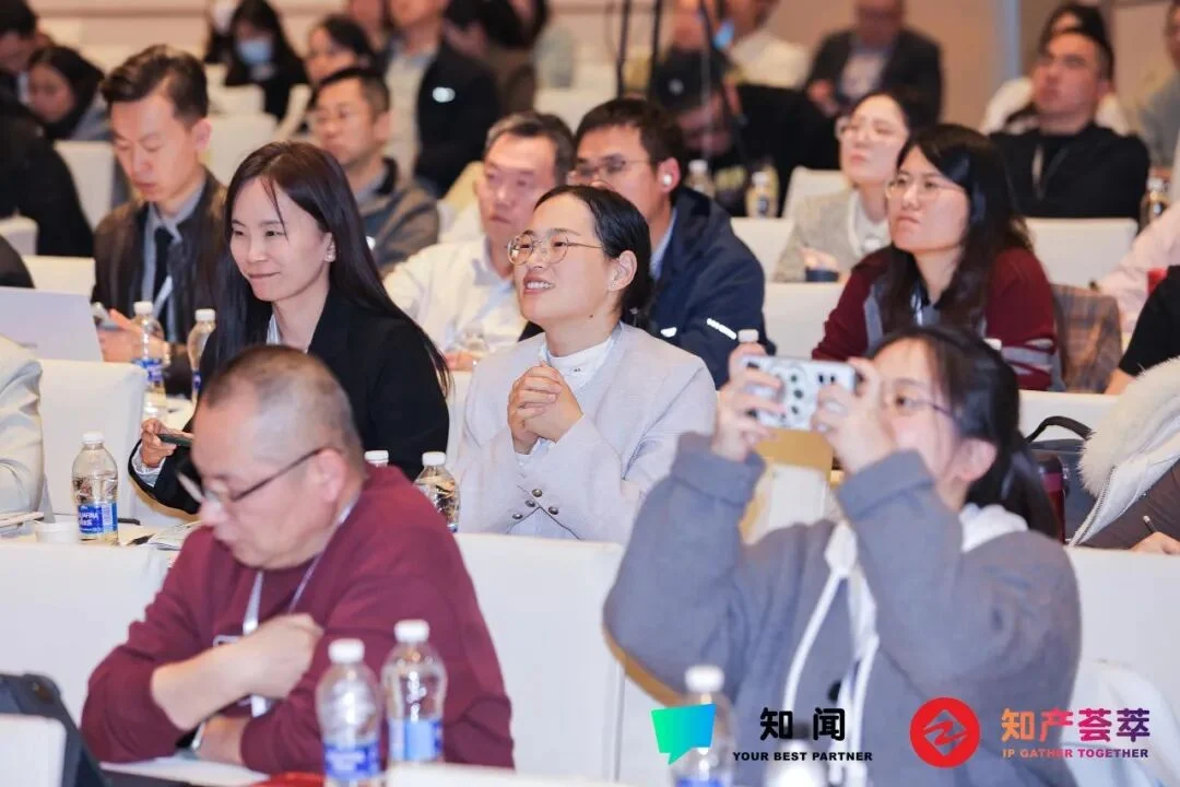 CIPIDF 2025 听众记录