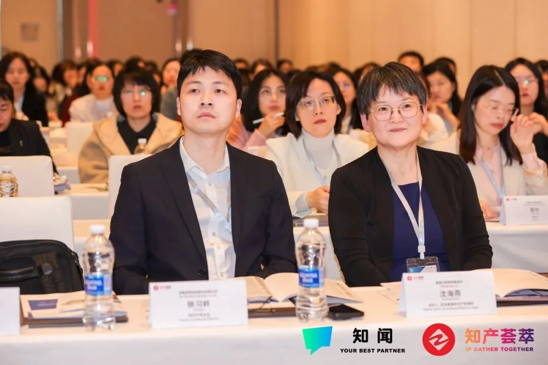 CIPIDF 2025 现场花絮