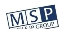 MSP（Agile IP Group）