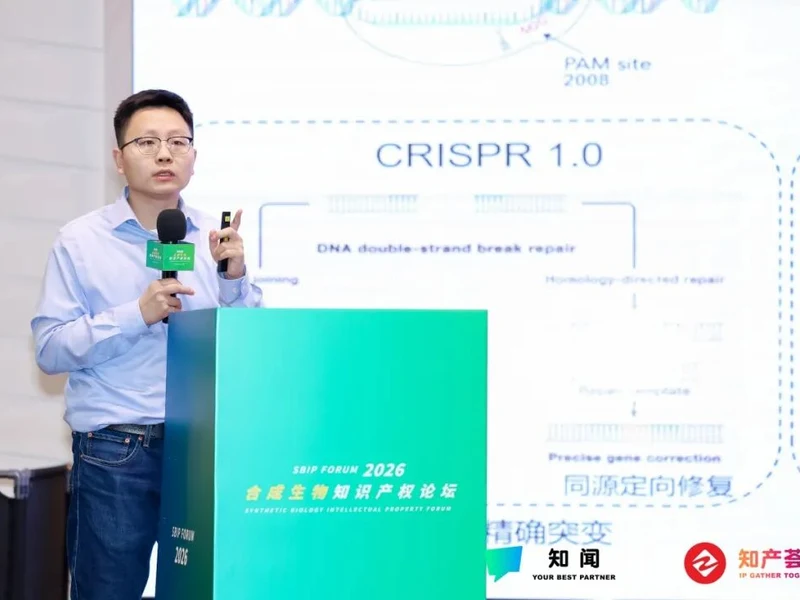 刘洪辰